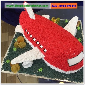 Bánh Sinh Nhật Máy Bay - MA40